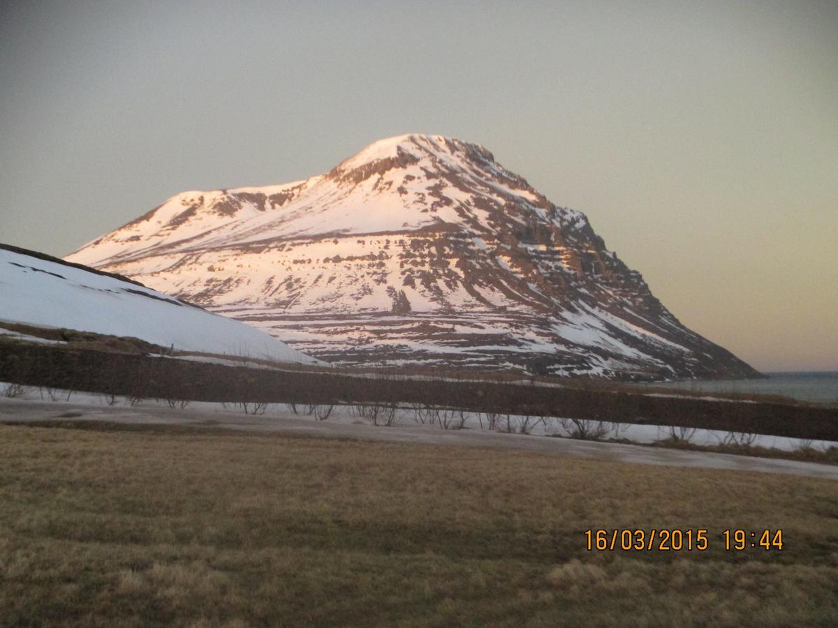 Smyrill Cottages Þórshöfn Eksteriør bilde